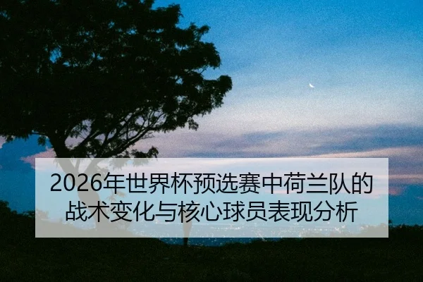 nian-shi-jie-bei-yu-xuan-sai-zhong-he-lan-dui-de-zhan-shu-bian-hua-yu-he-xin-qiu-yuan-biao-xian-fen-xi-2-479.jpg