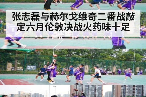 张志磊与赫尔戈维奇二番战敲定六月伦敦决战火药味十足